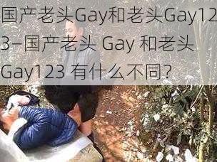 国产老头Gay和老头Gay123—国产老头 Gay 和老头 Gay123 有什么不同？