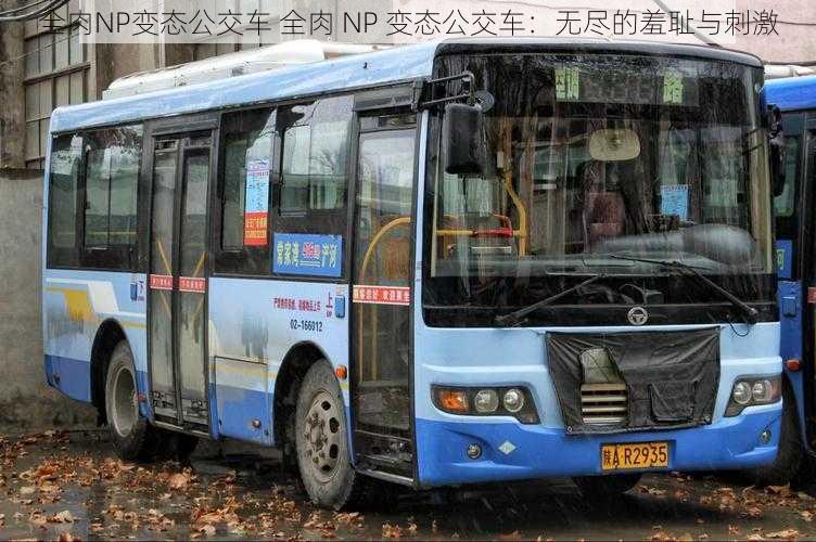 全肉NP变态公交车 全肉 NP 变态公交车：无尽的羞耻与刺激