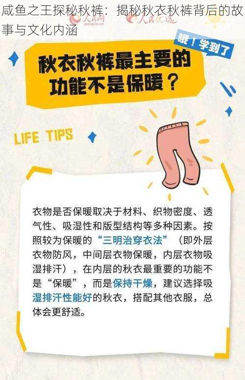 咸鱼之王探秘秋裤：揭秘秋衣秋裤背后的故事与文化内涵