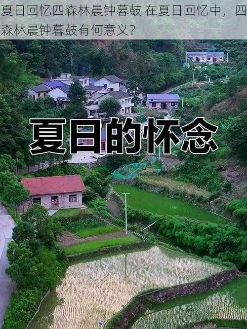 夏日回忆四森林晨钟暮鼓 在夏日回忆中，四森林晨钟暮鼓有何意义？