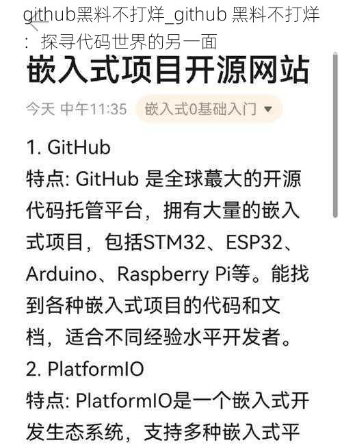 github黑料不打烊_github 黑料不打烊：探寻代码世界的另一面