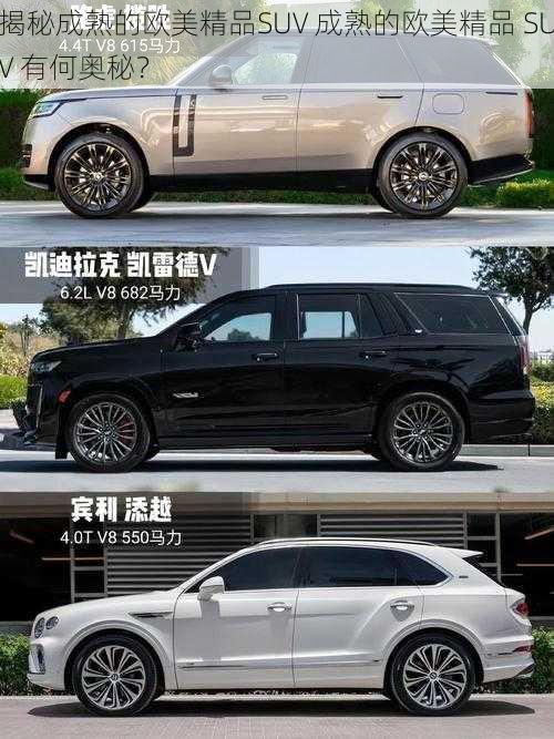 揭秘成熟的欧美精品SUV 成熟的欧美精品 SUV 有何奥秘？