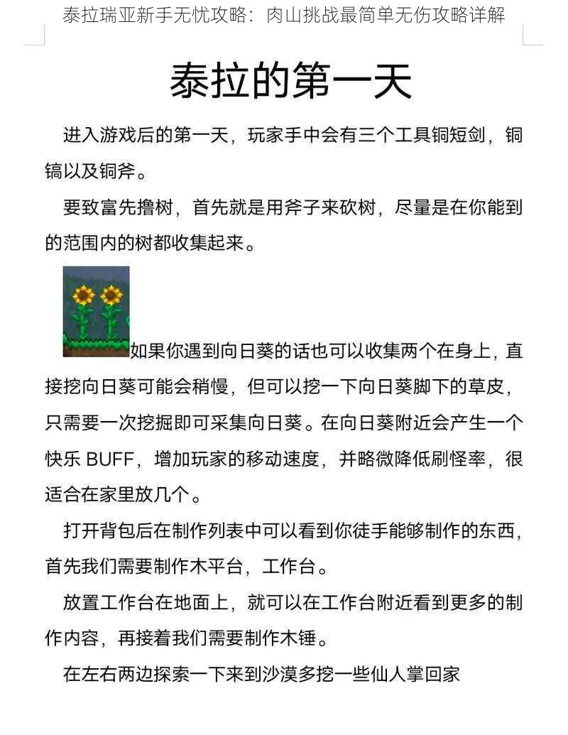 泰拉瑞亚新手无忧攻略：肉山挑战最简单无伤攻略详解