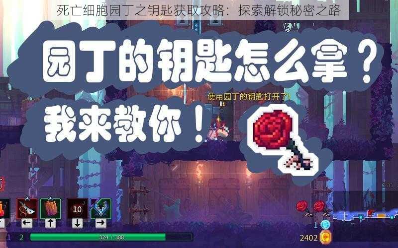 死亡细胞园丁之钥匙获取攻略：探索解锁秘密之路