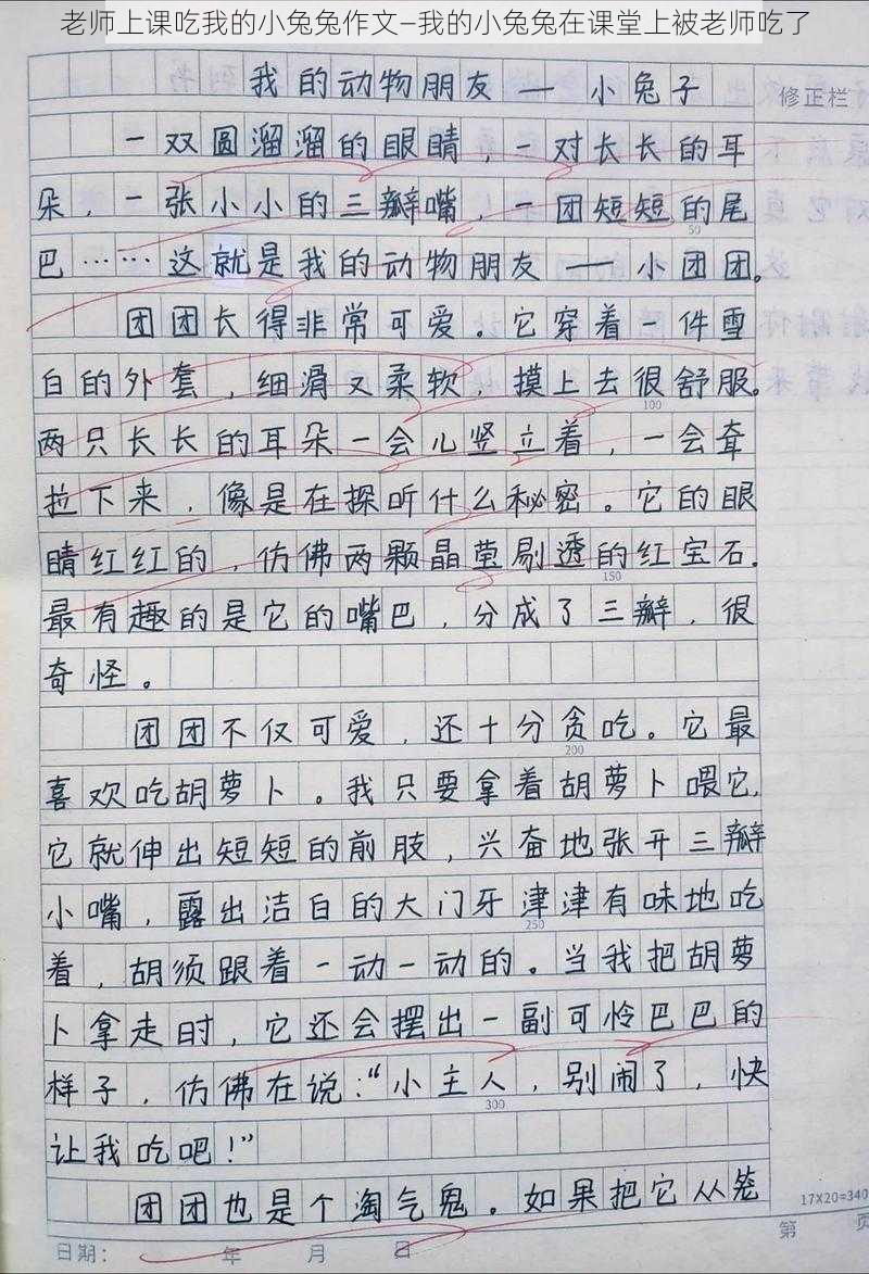 老师上课吃我的小兔兔作文—我的小兔兔在课堂上被老师吃了