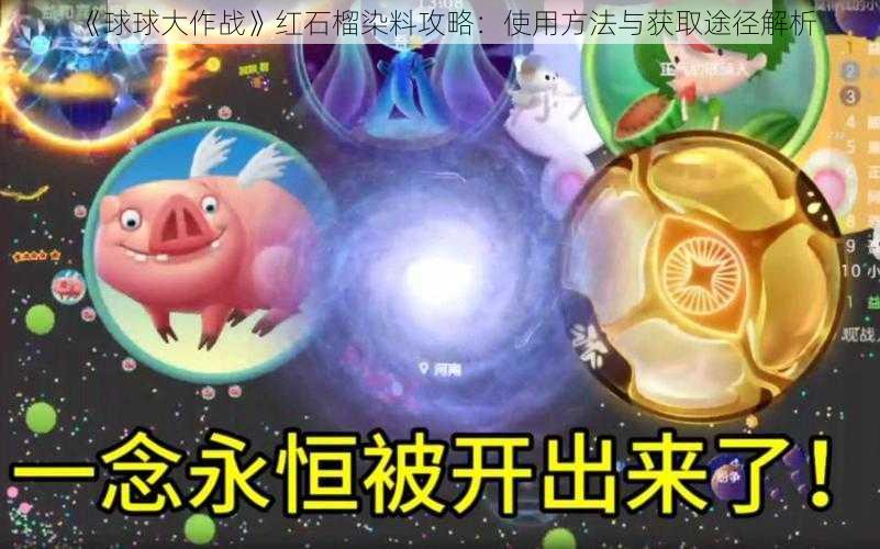 《球球大作战》红石榴染料攻略：使用方法与获取途径解析