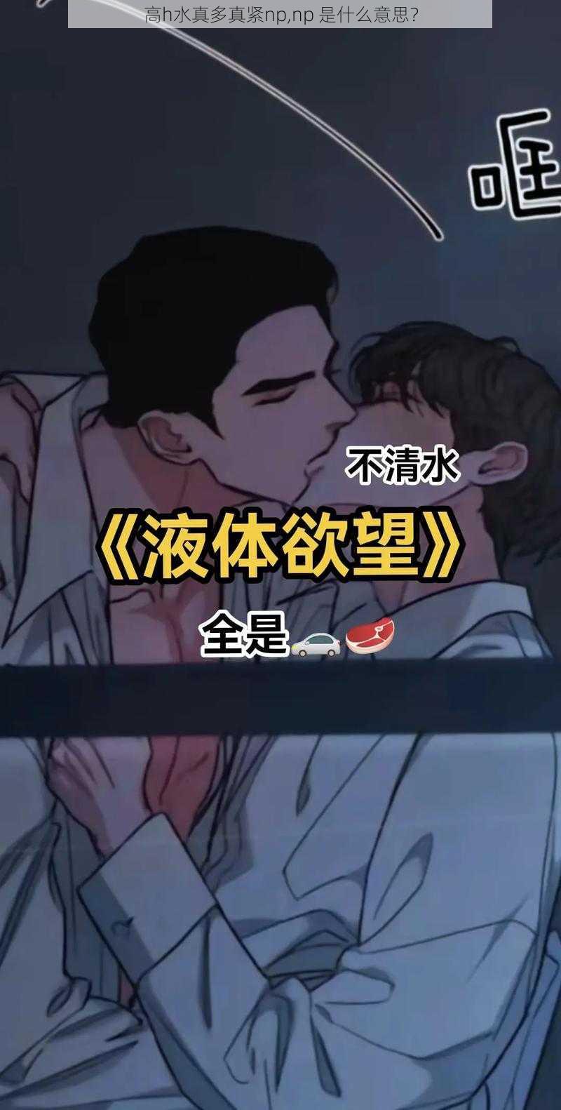 高h水真多真紧np,np 是什么意思？