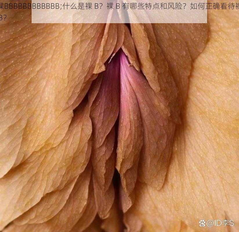 裸BBBBBBBBBBBB;什么是裸 B？裸 B 有哪些特点和风险？如何正确看待裸 B？