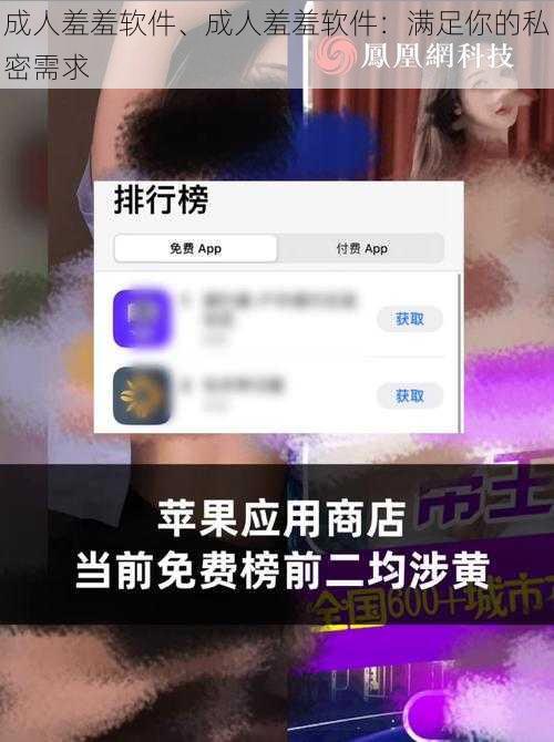 成人羞羞软件、成人羞羞软件：满足你的私密需求