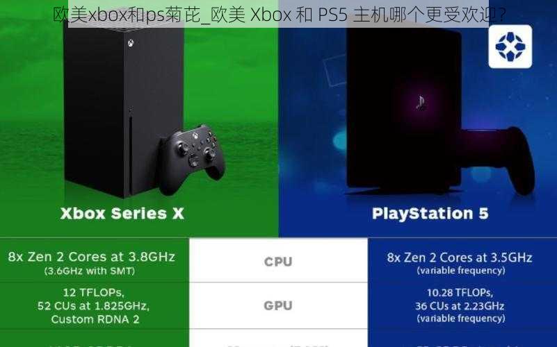 欧美xbox和ps菊芘_欧美 Xbox 和 PS5 主机哪个更受欢迎？