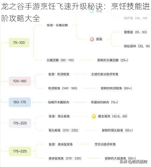 龙之谷手游烹饪飞速升级秘诀：烹饪技能进阶攻略大全