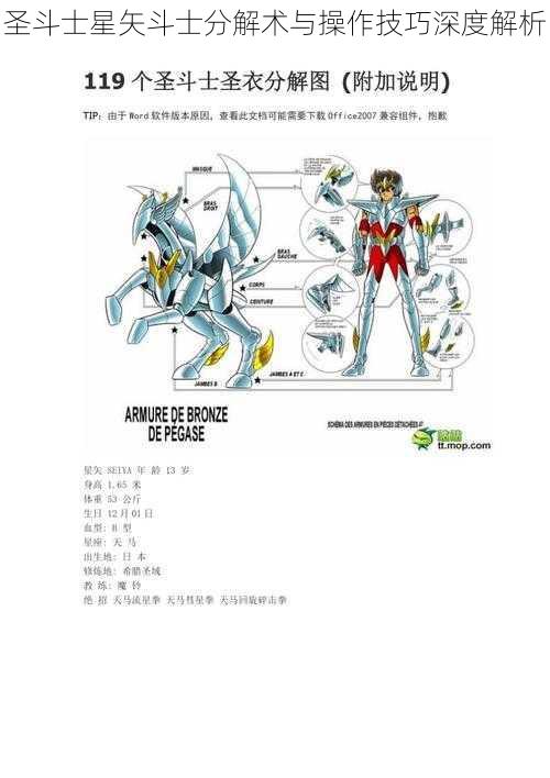 圣斗士星矢斗士分解术与操作技巧深度解析