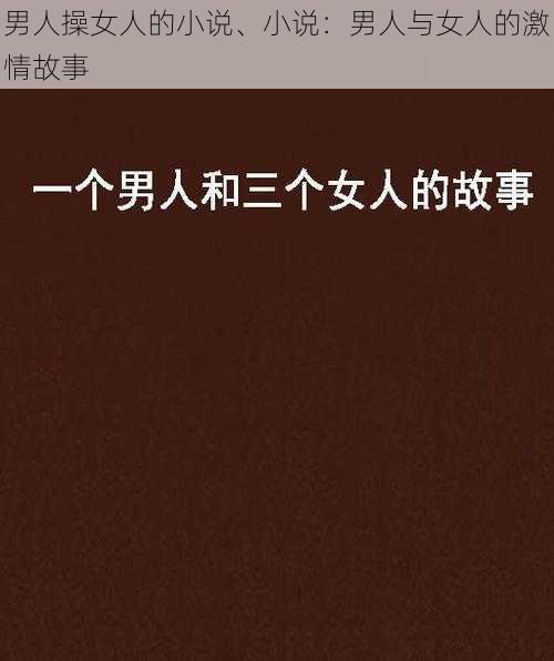 男人操女人的小说、小说：男人与女人的激情故事