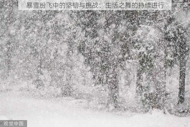 暴雪纷飞中的坚韧与挑战：生活之舞的持续进行