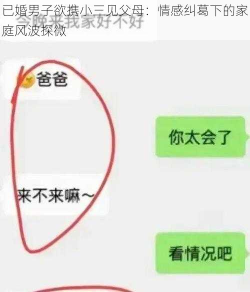 已婚男子欲携小三见父母：情感纠葛下的家庭风波探微