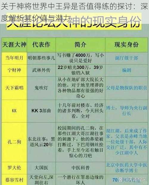 关于神将世界中王异是否值得练的探讨：深度解析其价值与潜力