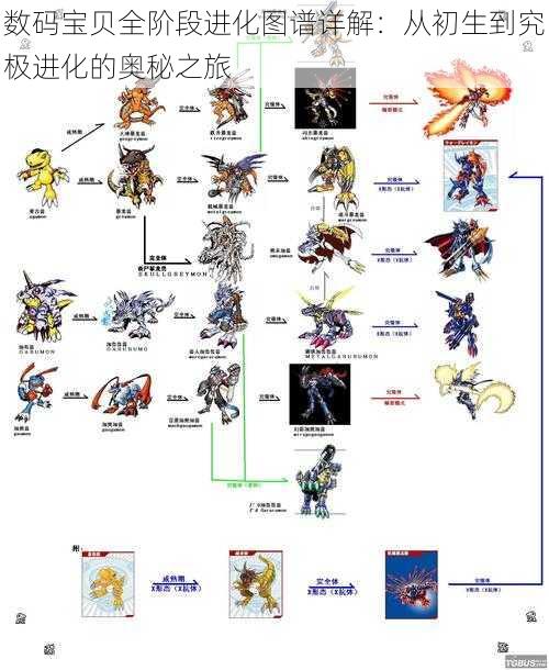数码宝贝全阶段进化图谱详解：从初生到究极进化的奥秘之旅