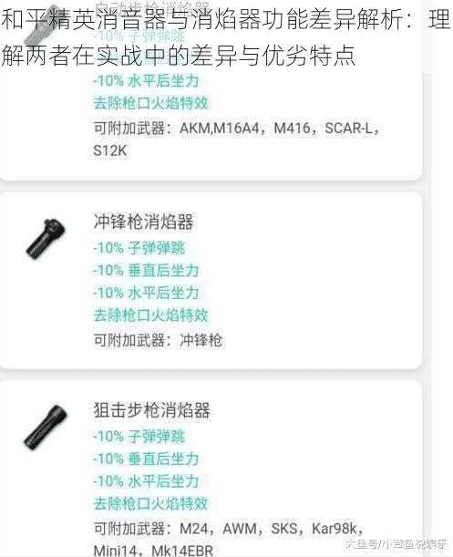 和平精英消音器与消焰器功能差异解析：理解两者在实战中的差异与优劣特点