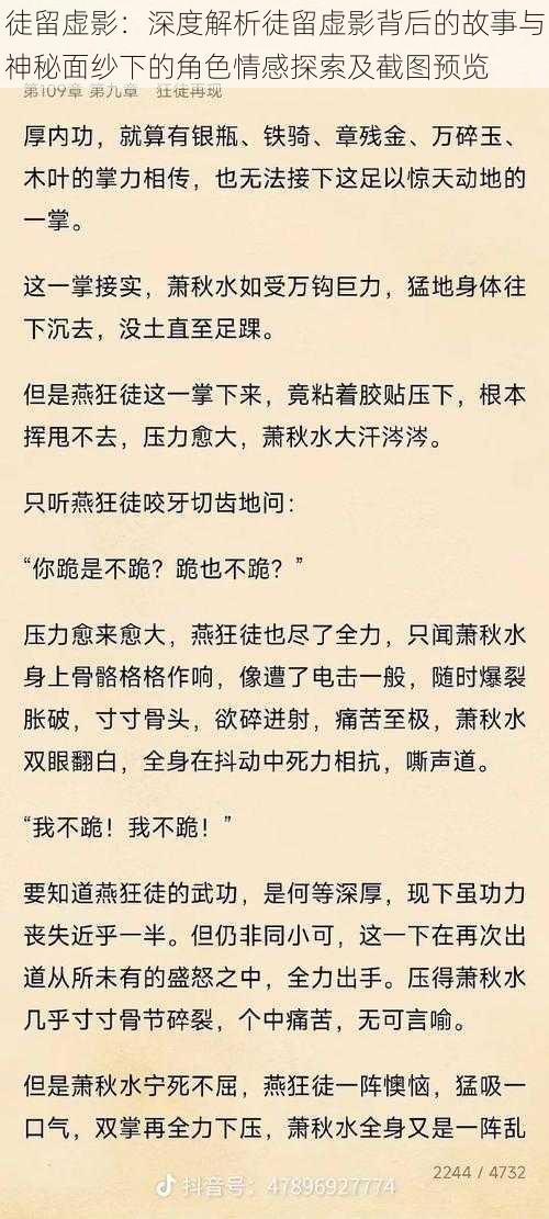 徒留虚影：深度解析徒留虚影背后的故事与神秘面纱下的角色情感探索及截图预览