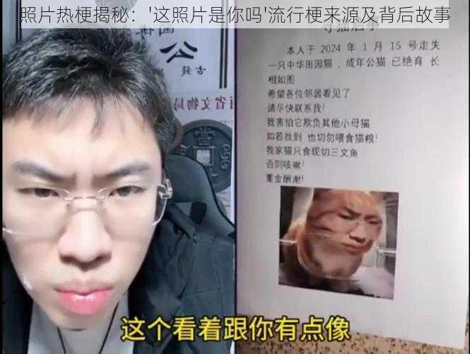 照片热梗揭秘：'这照片是你吗'流行梗来源及背后故事